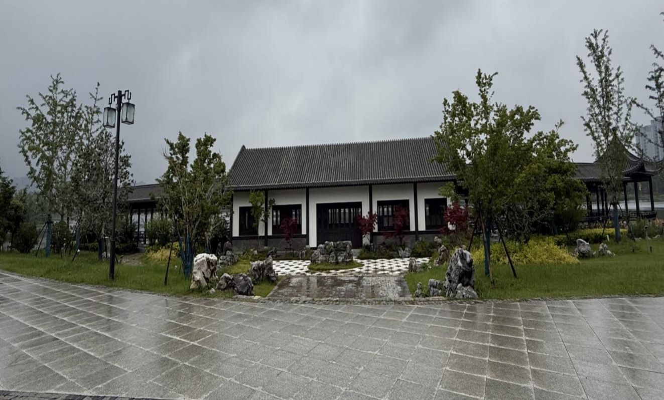 IMG_20250521_100825.jpg IMG_20250521_100825.jpg